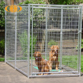 Kennel de caja grande de perros soldado con galvanizado ISO & CE